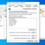 Internet Download Manager