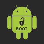 ROOT