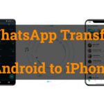 WhatsApp Transfer Android to iPhone