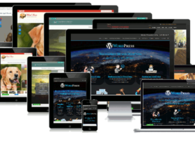 Temi Wordpress