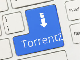 TorrentZ Cover