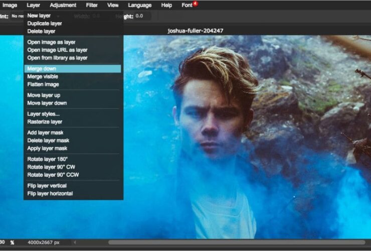 Modificare Foto Online Gratis