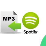 Download Mp3 da Spotify su Android