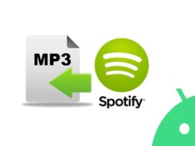 Download Mp3 da Spotify su Android
