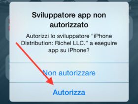 Sviluppatore Interno non Autorizzato iPad iPhone Apple