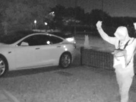 Come rubare una Tesla