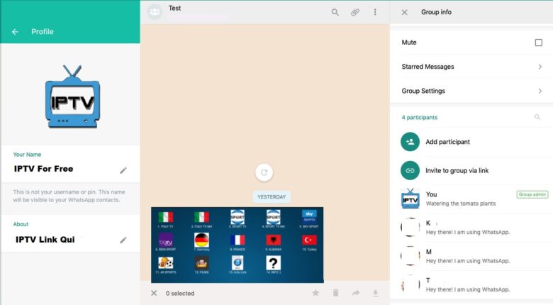 WhatsApp Link IPTV