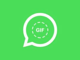 WhatsApp GIF Cover
