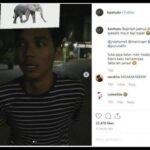 Instagram Filtro HeadQuiz Cover