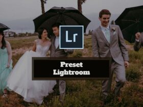 Preset Lightroom Gratis
