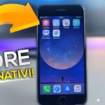 Apple AppStore Store Alternativi iOS