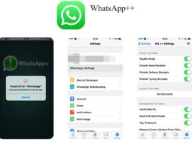 WhatsApp++ iOS
