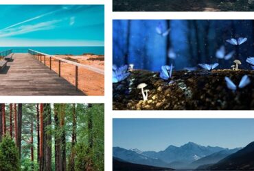 Double-click Image Downloader Chrome - Firefox