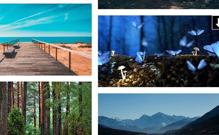 Double-click Image Downloader Chrome - Firefox