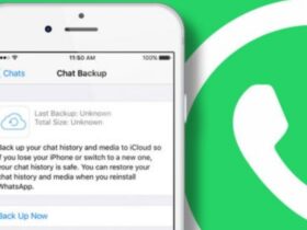 Backup WhatsApp iOS