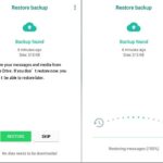 WhatsApp Recovery