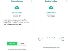WhatsApp Recovery
