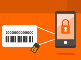 IMEI