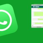 WhatsApp Chat