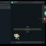 WhatsApp Web Chiamate