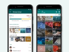 WhatsApp Liberare Spazio
