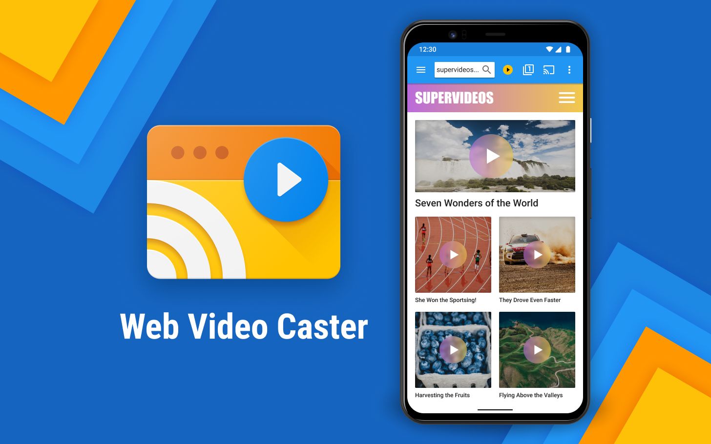 Web Video Caster Cover