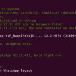 Chiave Crittografica WhatsApp