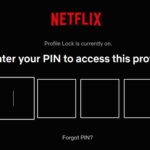PIN Netflix Profile