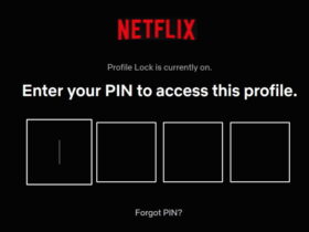PIN Netflix Profile