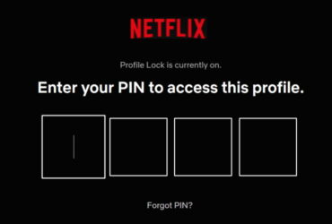 PIN Netflix Profile