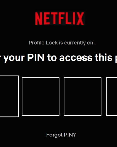 PIN Netflix Profile