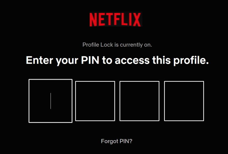 PIN Netflix Profile