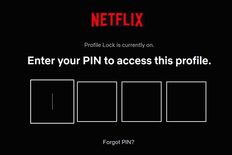 PIN Netflix Profile