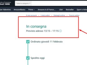 Previsione Consegna Amazon