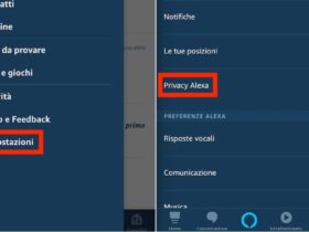 Privacy Alexa