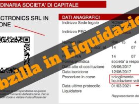 Mobzilla Chiuso Info Societarie Liquidazione