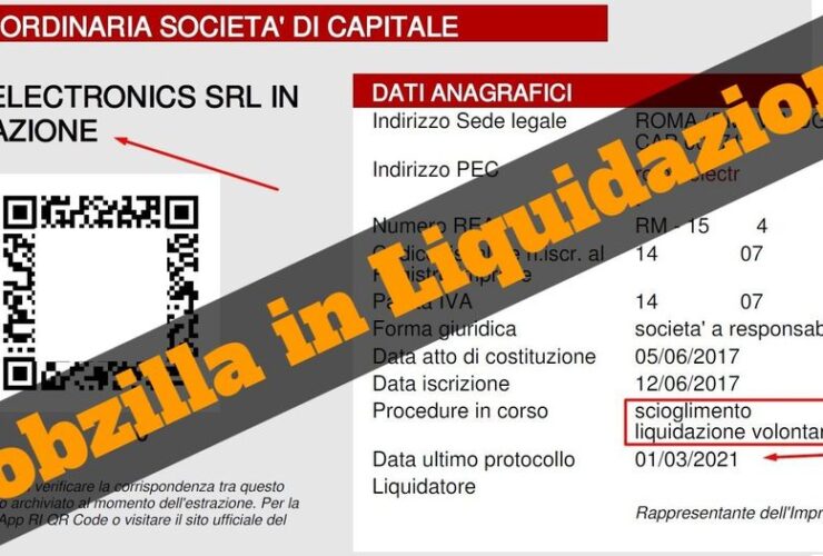 Mobzilla Chiuso Info Societarie Liquidazione