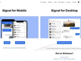 Signal su Windows