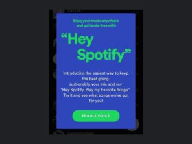 Hey Spotify