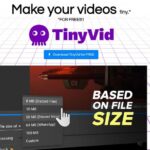 TinyVid