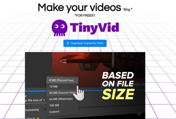 TinyVid
