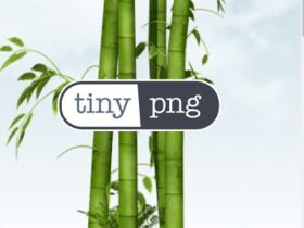 TinyPNG Logo