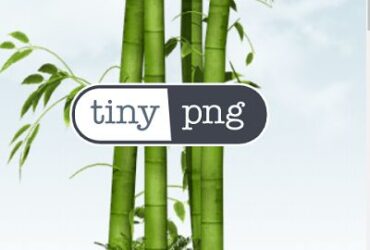 TinyPNG Logo
