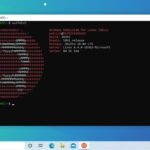 Ubuntu Windows WSL