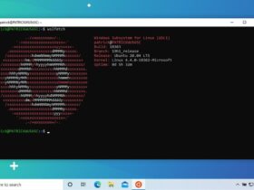 Ubuntu Windows WSL