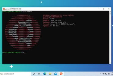 Ubuntu Windows WSL