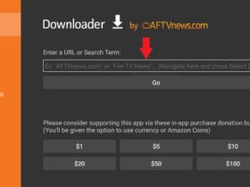 Downloader Code Fire Stick