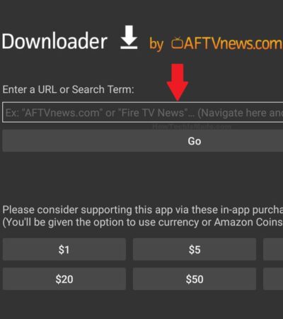 Downloader Code Fire Stick