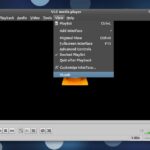 Sottotitoli VLC automatici VLsub
