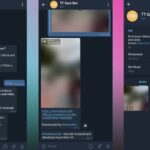 TT Save Bot Telegram